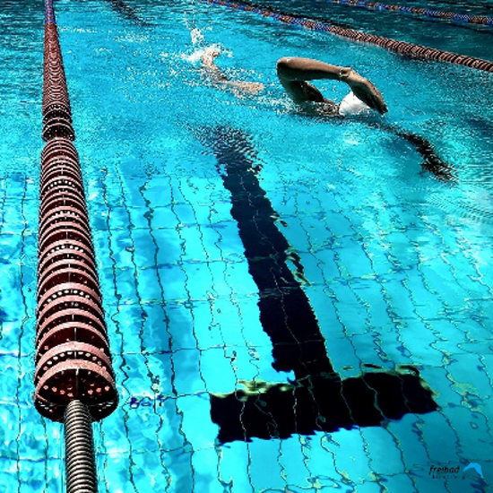 Bild von Schwimmkurs Erwachsener