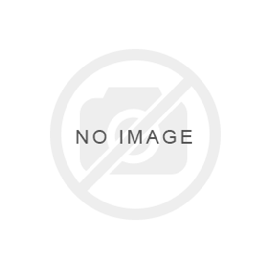 Bild von WS Bronze intern 5Termine